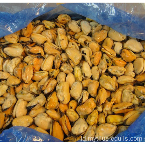 penawaran baru daging kerang rebus beku dengan harga pabrik